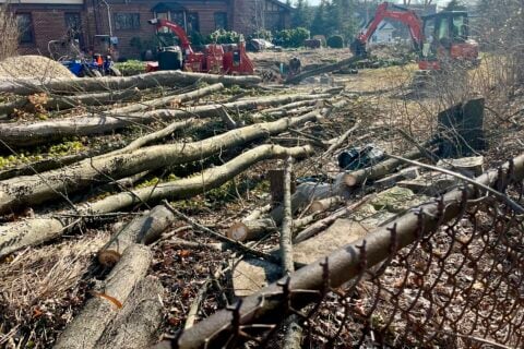Land Clearing Kent Ohio